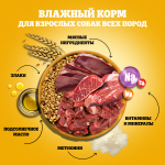 Влажный корм для взрослых собак PEDIGREE с говядиной и ягненком в соусе 85 г