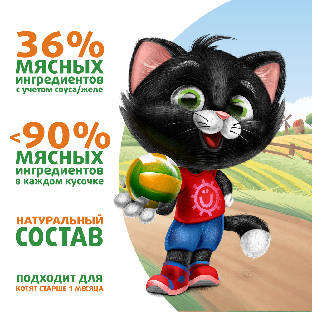 Влажный корм Ферма кота Фёдора нежные кусочки в желе с индейкой для котят 85г