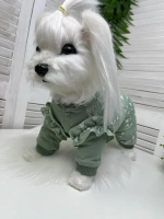 Трикотажный комбинезон для собак и кошек