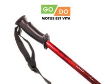 Палки треккинговые GO DO : G-DS1-К