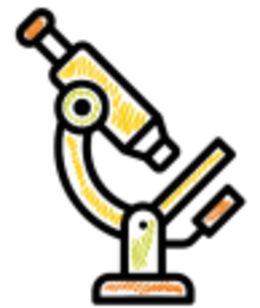 Опыты и Эксперименты