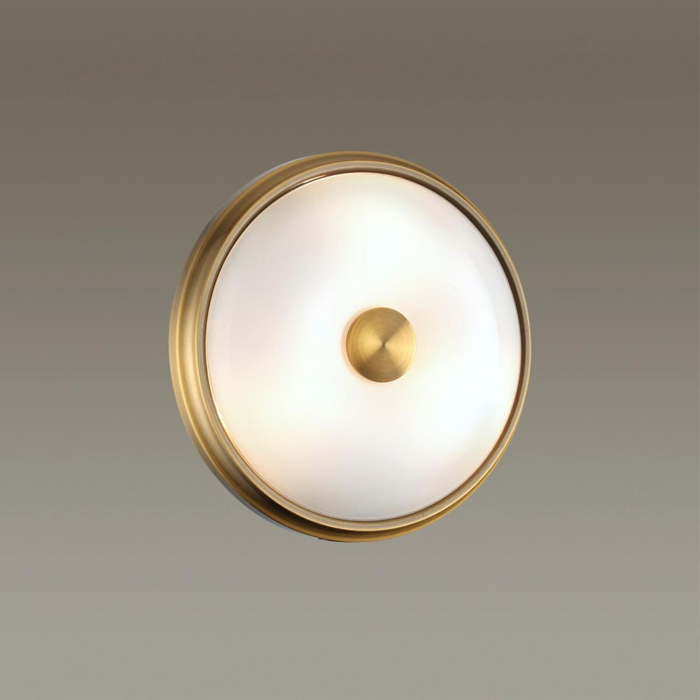 Накладной светильник Odeon Light 4956/2