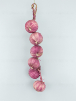 Лук фиолетовый