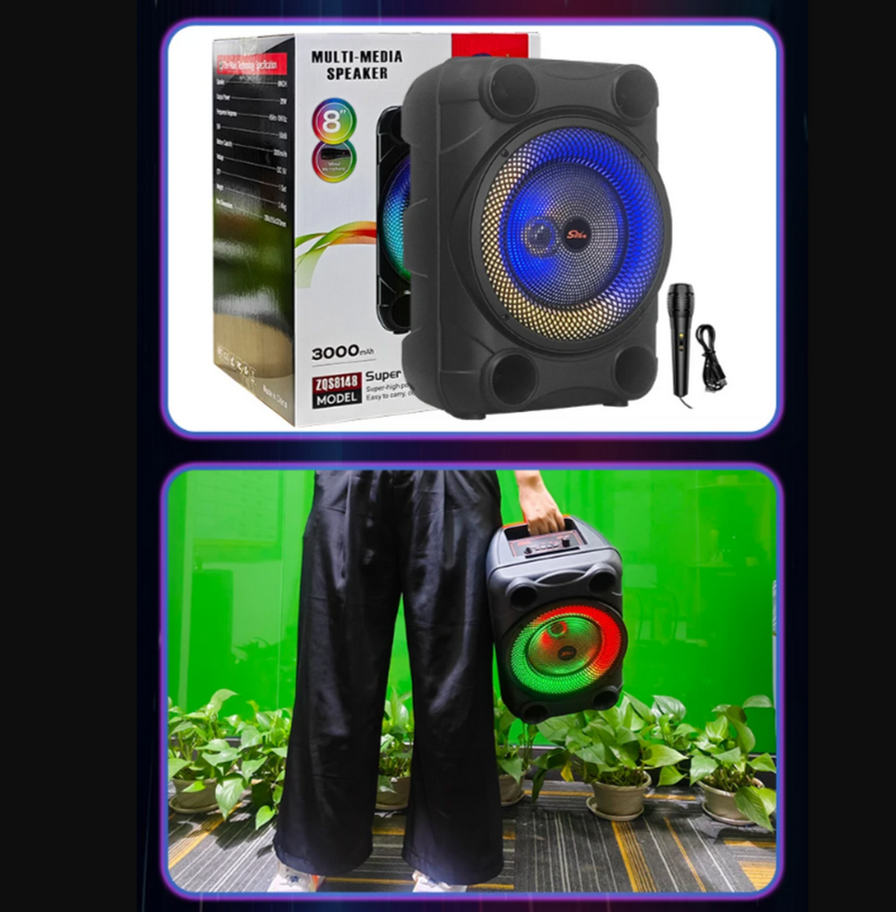 Беспроводная колонка Sing-e ZQS-8147 (8"20W/3A/микрофон)