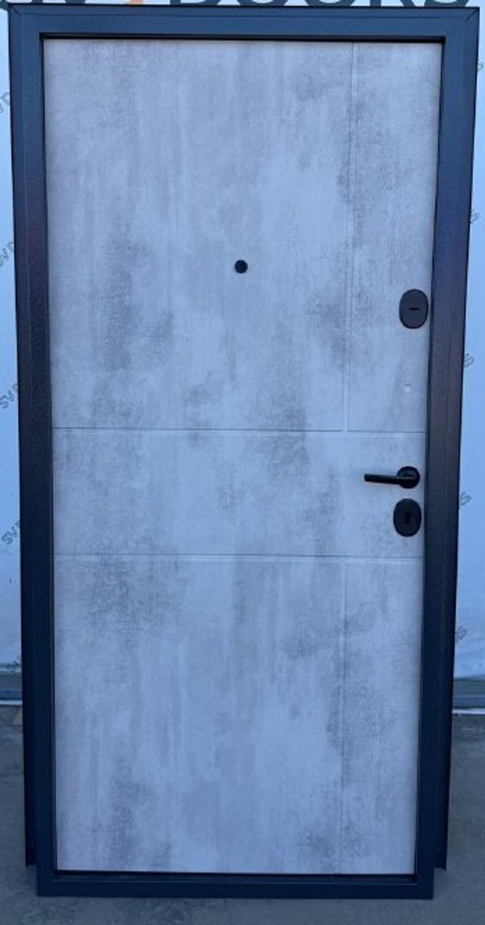 Дверь входная Дели