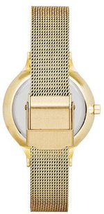 Женские наручные часы Skagen SKW2150