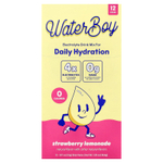 Waterboy, Daily Hydration, смесь для приготовления электролитического напитка, со вкусом клубничного лимонада, 12 стиков в упаковке, по 3,1 г (0,11 унции)