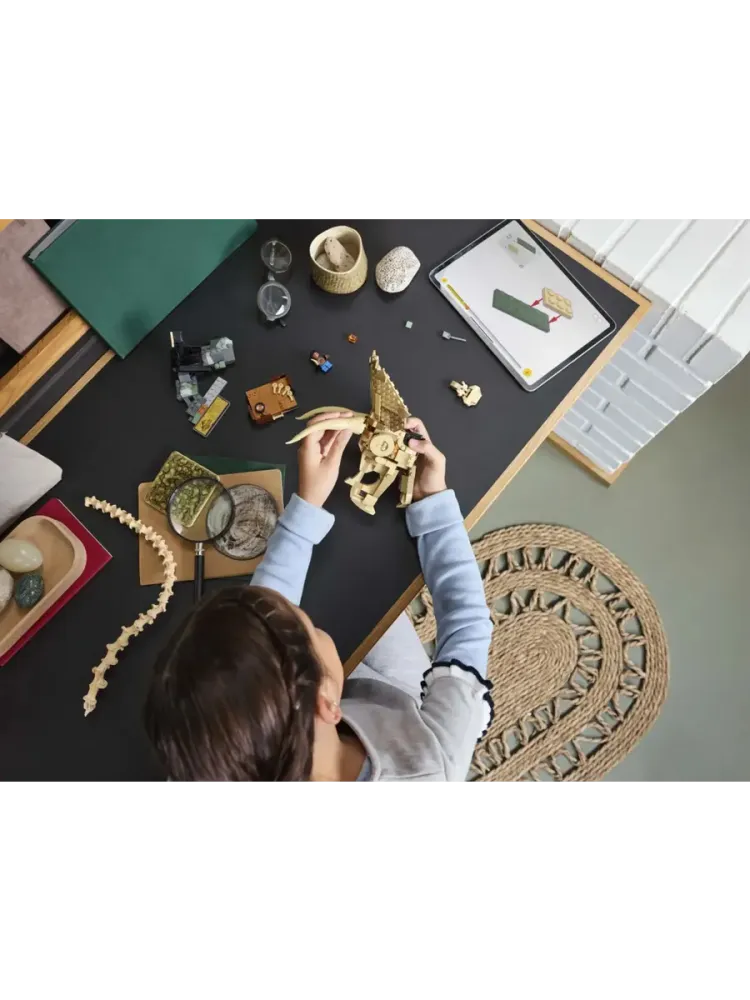 Конструктор Jurassic World 76969 Череп трицератопса