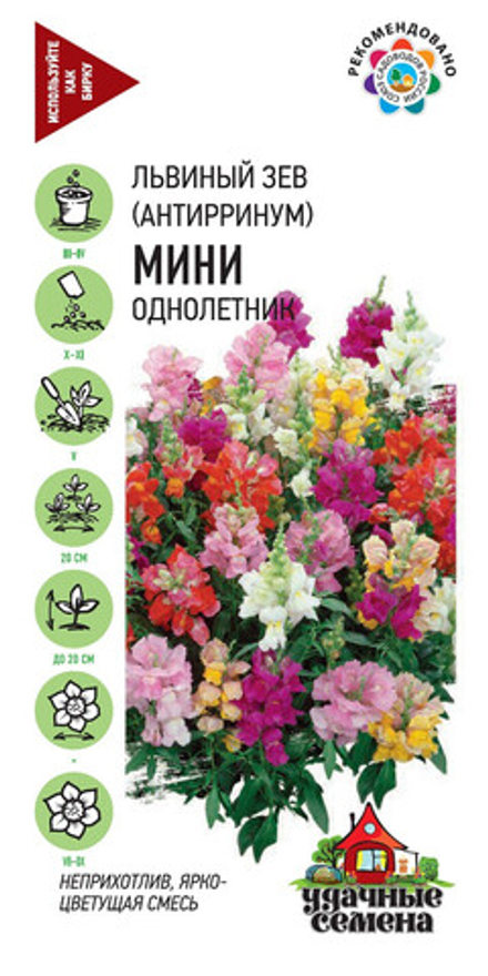 Львиный зев Мини