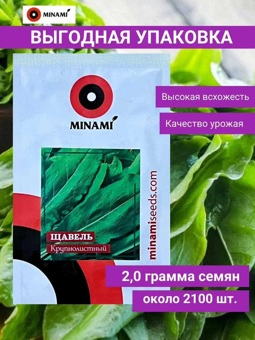 Щавель Крупнолистный 2гр