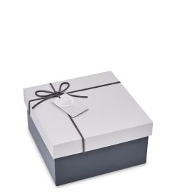 WF-193/1-A Коробка мал., голубой/синий