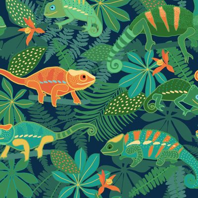 Хамелеоны в джунглях