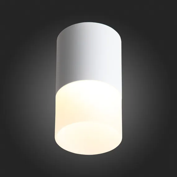 ST100.502.10 Светильник потолочный Белый LED 1*10W 3000K 780Lm Ra>80 120° D78xH135 170-240V Накладные светильники