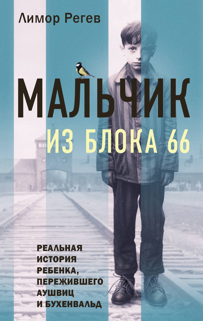 Мальчик из Блока 66. Реальная история ребенка, пережившего Аушвиц и Бухенвальд ((24 страницы цвет. илюст.))