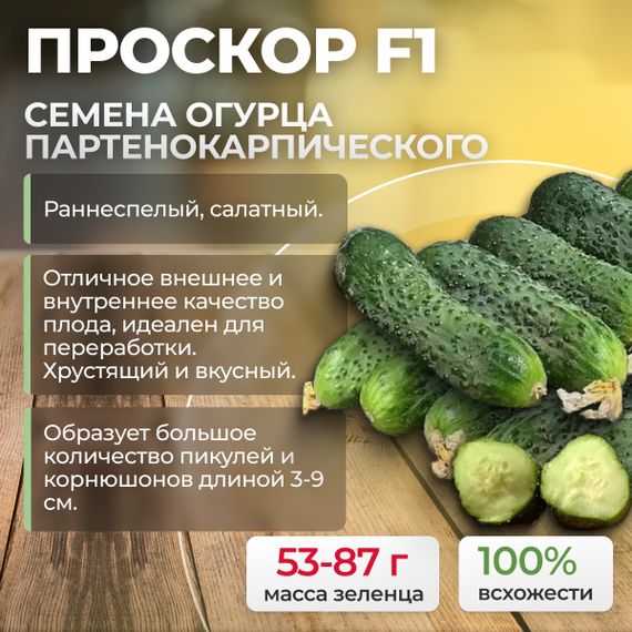 ПРОСКОР F1 семена огурца партенокарпического (Nunhems) оптом