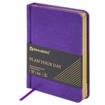 Ежедневник недатированный МАЛЫЙ ФОРМАТ 100x150 мм А6 BRAUBERG "Iguana", под кожу,160 л., сиреневый, 114470