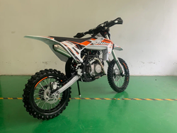 Питбайк JHL Z125E Pro (ZS154FMI-3)