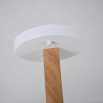 Потолочная люстра Imperiumloft TURNA 228851-26