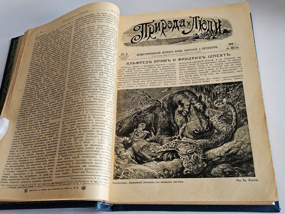 "Природа и люди. Иллюстрированный журнал науки, искусства и литературы". 1910 г.