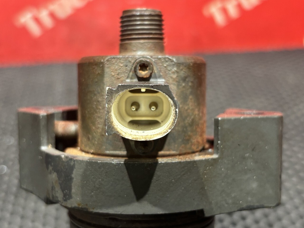 PLD секция 2019г.