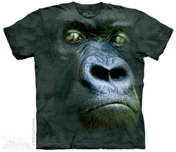 Silverback Portrait