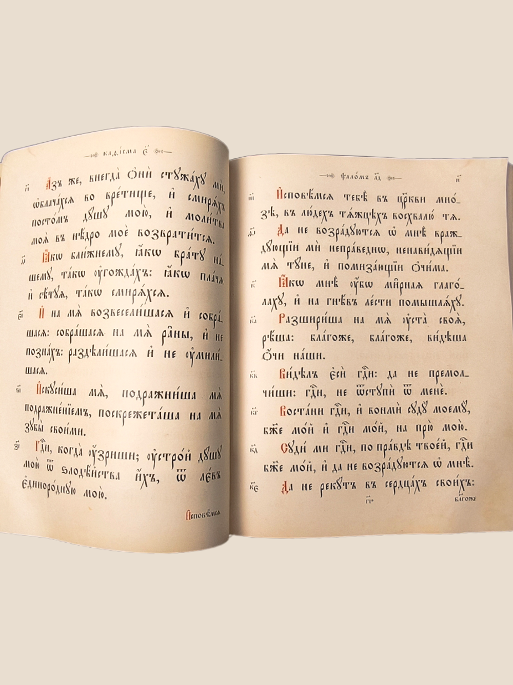 Антикварная книга Псалтырь. 1896 год.