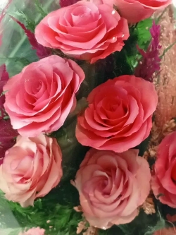 натуральные цветы в стекле, вакуум