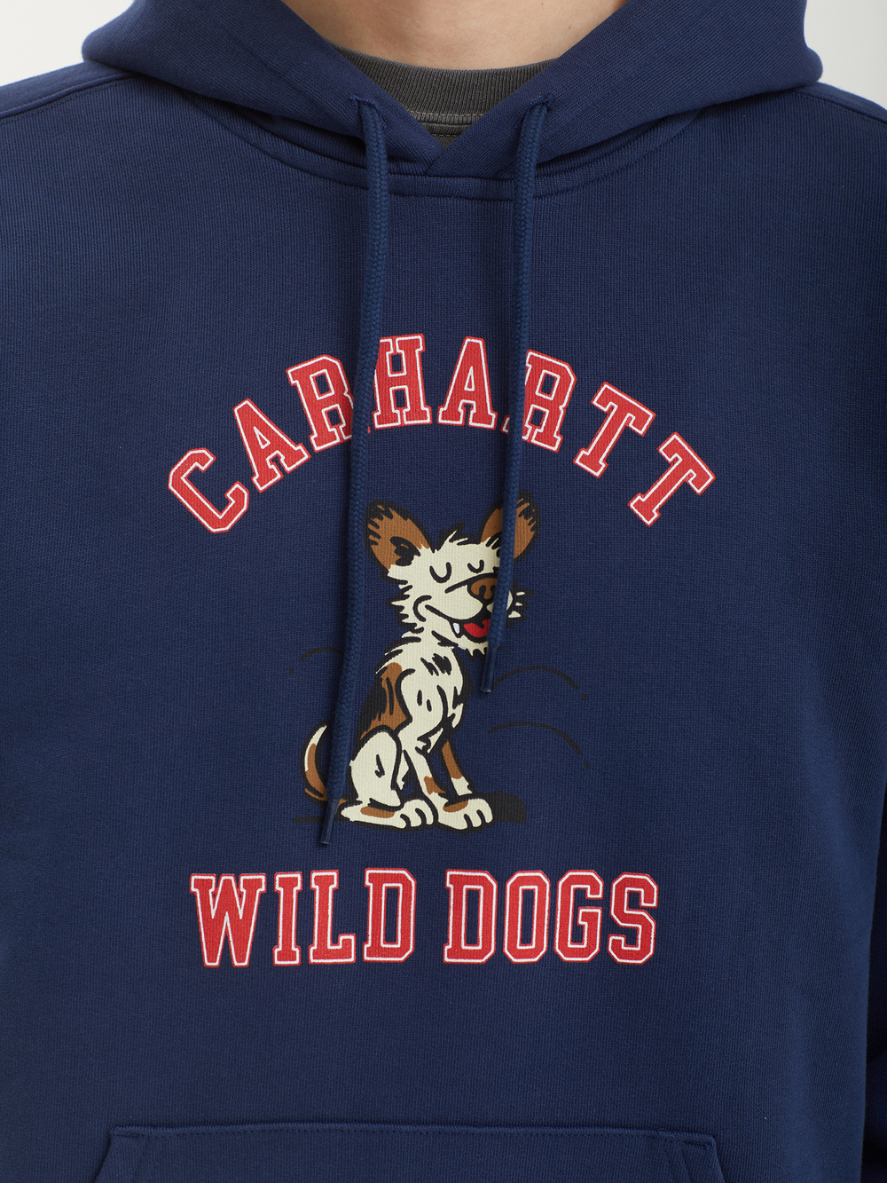 Мужская Толстовка Wild Dog