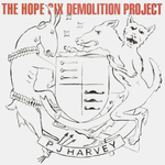 PJ Harvey / The Hope Six Demolition Project (LP)