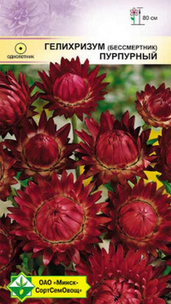 Гелихризум "Пурпурный" 0.2г., Германия. Гелихризум "Пурпурный" 0.2г., Германия.