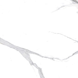Calacatta Splendid Silver Керамогранит белый 60х60 Матовый