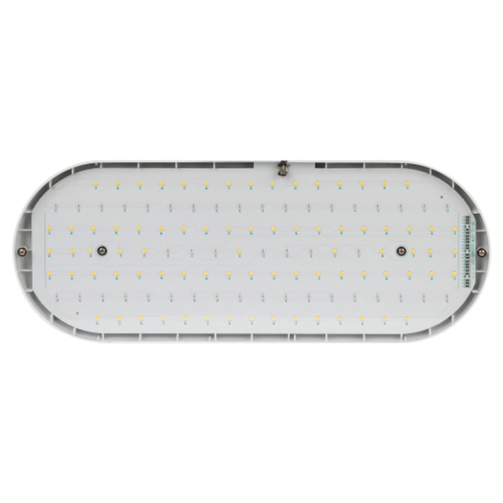 Светильник для растений ЭРА FITO-25W-QLED-FLY подвесной полного спектра 25 Вт | Интерьерные фито светильники