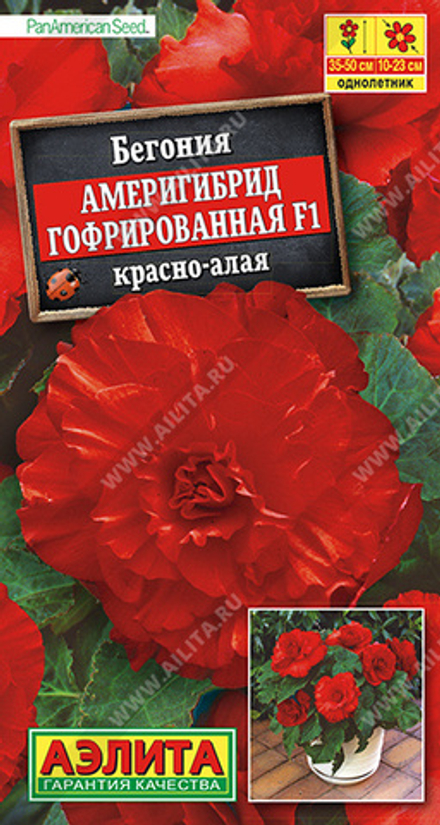 Бегония Америгибрид F1 красно-алая гофрированная  5шт Аэлита
