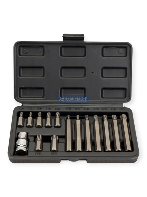Набор бит (15 предметов) торкс Т20-55