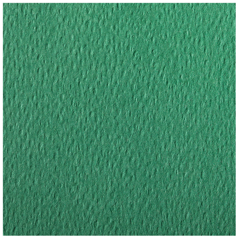 Цветная бумага 500*650мм., Clairefontaine "Etival color", 24л., 160г/м2, темно-зеленый, легкое зерно, хлопок