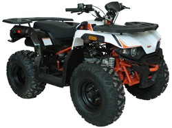 Квадрицикл KAYO AU180 (белый пластик 2024 г.) (ПТС)