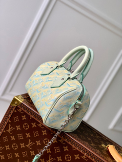 Louis Vuitton Speedy 20
