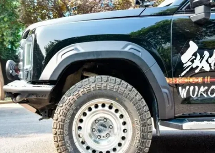 Расширители колесных арок для Haval H9 2024+ Хавал Хавейл обвес