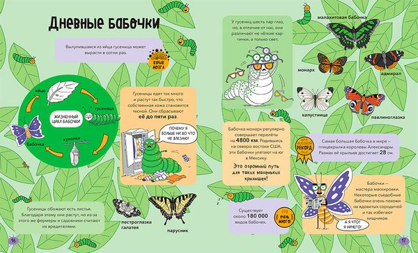 Насекомые и не только