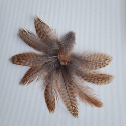 Перья вальдшнепа рыжие 4-7 см. 10 шт.