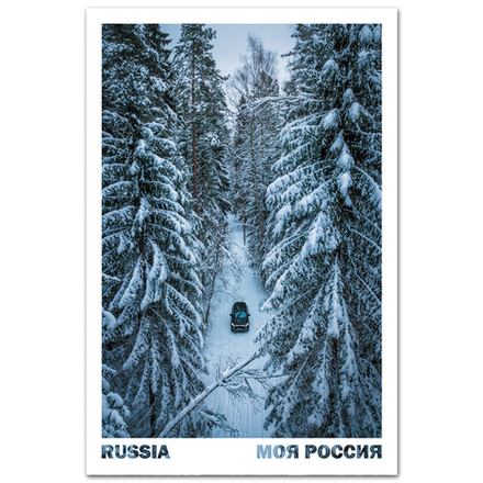 В лесах Псковской области