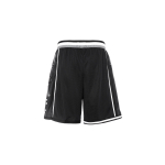 Шорты Nike Dri-FIT Logo, DX0256-010