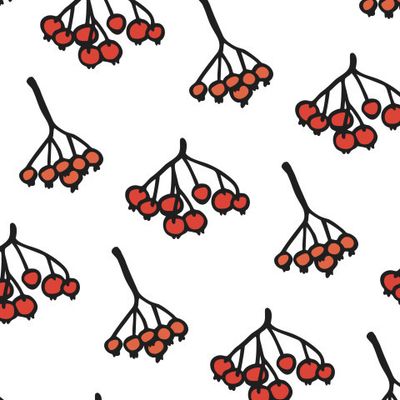 Buy Russian fabric red rowan