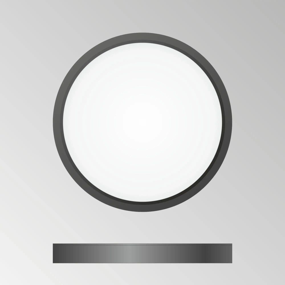 Citilux Бейсик CL738181V Светильник накладной Чёрный