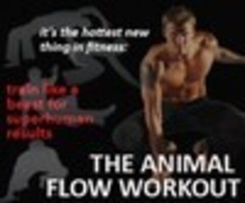 Mike Fitch - The Animal Flow Workout