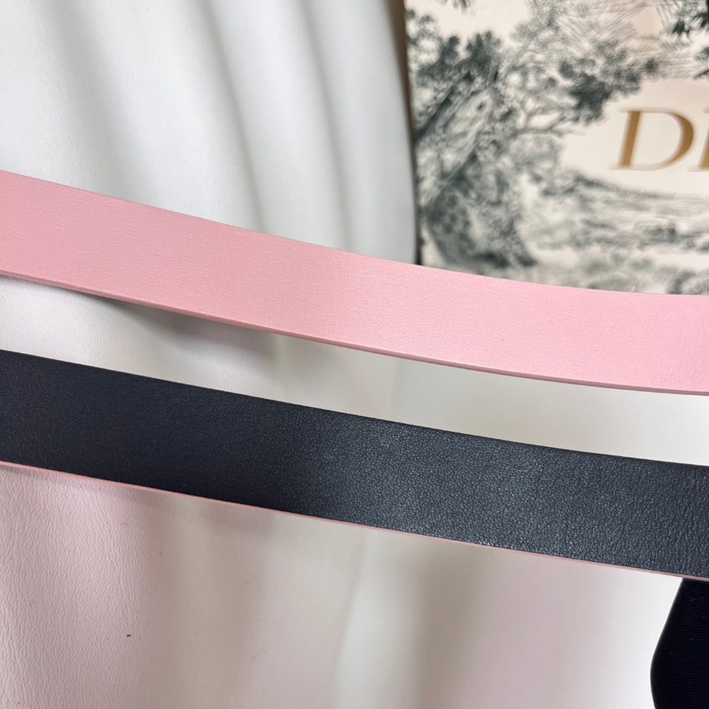 Christian Dior Reversible Belt