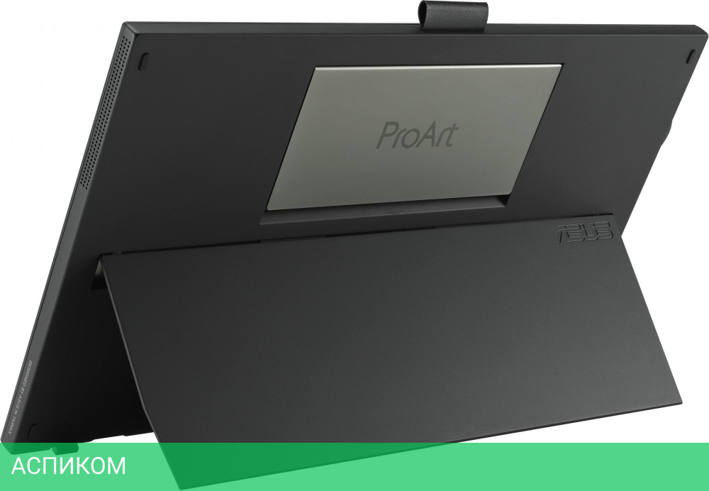 Монитор Asus ProArt PA169CDV черный (90LM0711-B01I70)