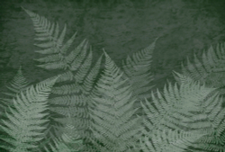 SELVA 2