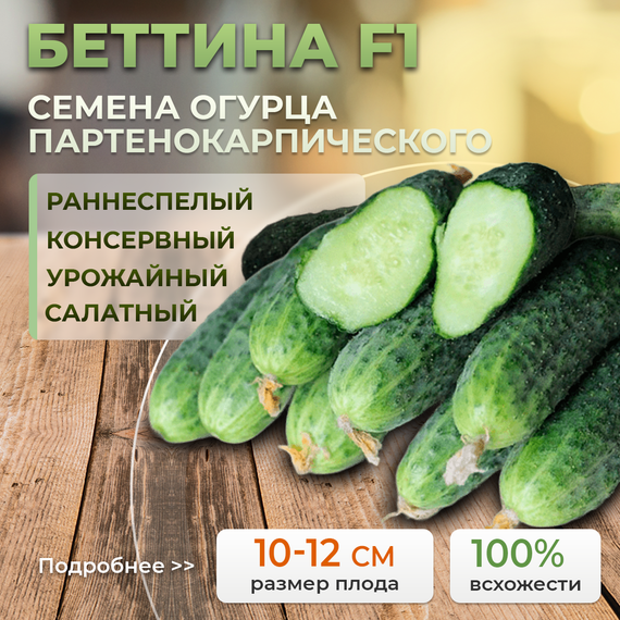 БЕТТИНА F1 семена огурца (Nunhems | Alexagro)