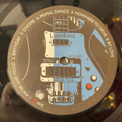 Винтажная виниловая пластинка LP Liamkins Reason Softly Speaks Or Just Make It Louder (Россия 2013)